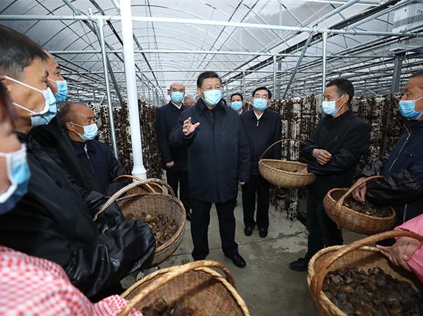 习近平总书记考察龙8国际援建的金米村智能连栋木耳大棚